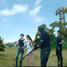 国产鸡情,探寻我国鸡肉产业的崛起之路