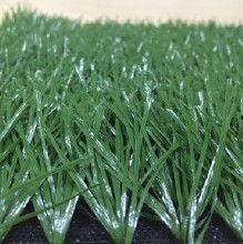 草国产,探寻自然与文化的交融之地